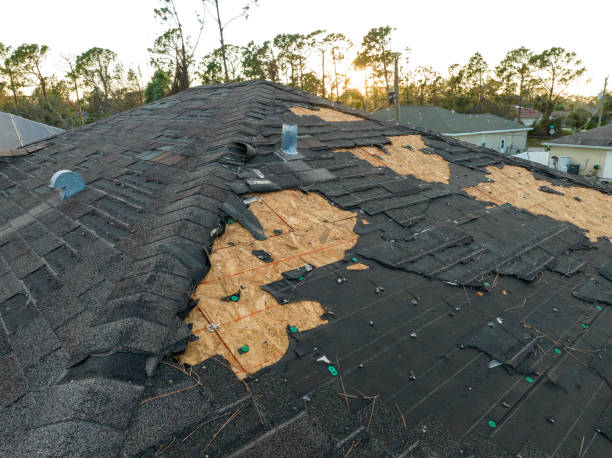 Professional Roofing Service in Brushy Creek, TX
